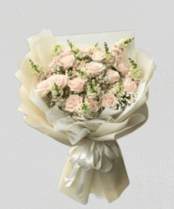 Tình hồng hb05