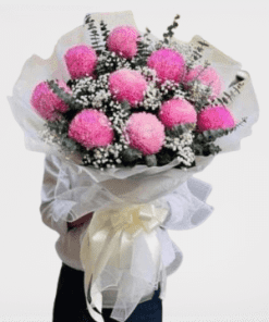 Cúc mẫu đơn hb04