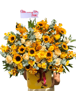 Nắng mùa thu hh03