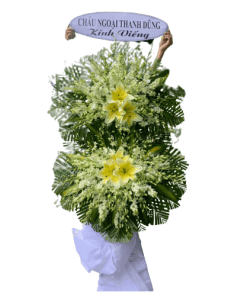 An giấc
