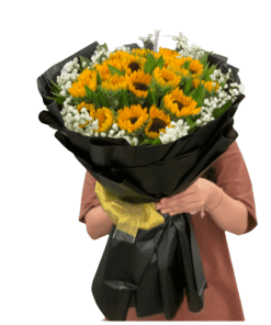 Hướng mặt trời