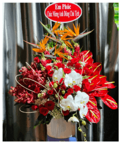 Khúc hát thành công