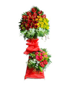 Hoa chúc mừng - Cát tài 03
