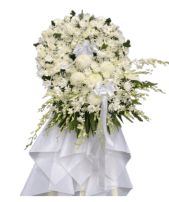 Hoa đám ma đi phúng điếu - Biệt ly 01