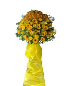 Đại trường phát 01