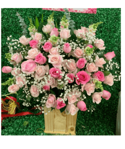 Bản tình ca mùa đông