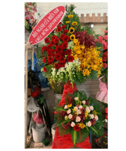 Đại cát đại tài 01
