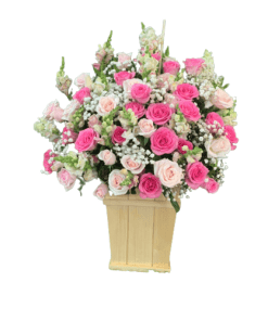 Chúc mừng sinh nhật sếp 01