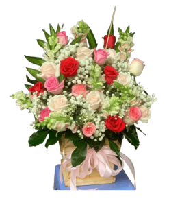 Sắc hồng tình yêu 02