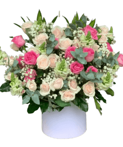 Kí ức rực rỡ 02
