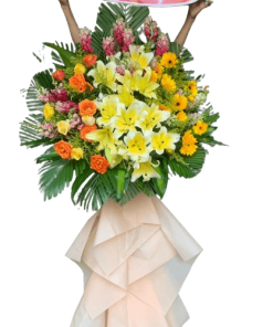 Dẫn lối thành công 04