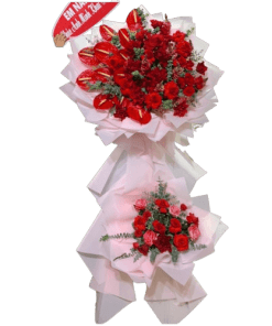 Hoa chúc mừng - Cánh cửa hi vọng 06