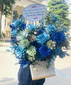 Hoa Sen Đá 20