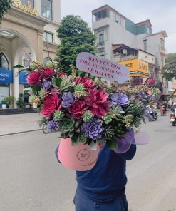 Hoa Sen Đá 27