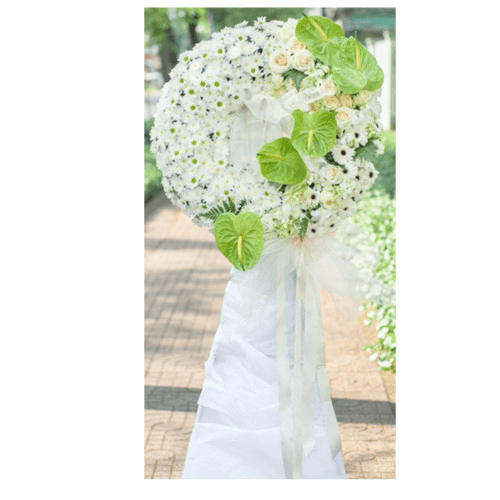 Thiết_kế_chưa_có_tên_-_2024-02-20T092641.297-removebg-preview (1)