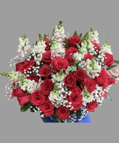 An nhiên 04