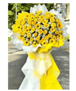Cánh cửa hi vọng 07