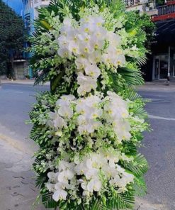 Thanh Thản
