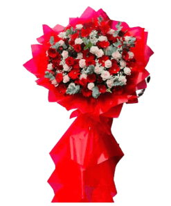 CHÚC MỪNG KHAI TRƯƠNG 05
