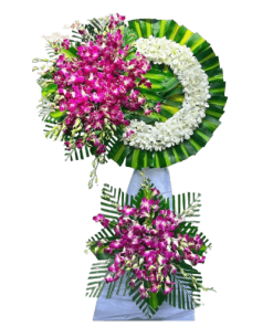 CÁT BỤI 02